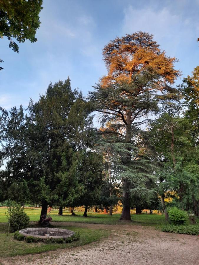 Gîte de charme à 15mn de Bordeaux Autonomie 100% Camblanes-et-Meynac Esterno foto